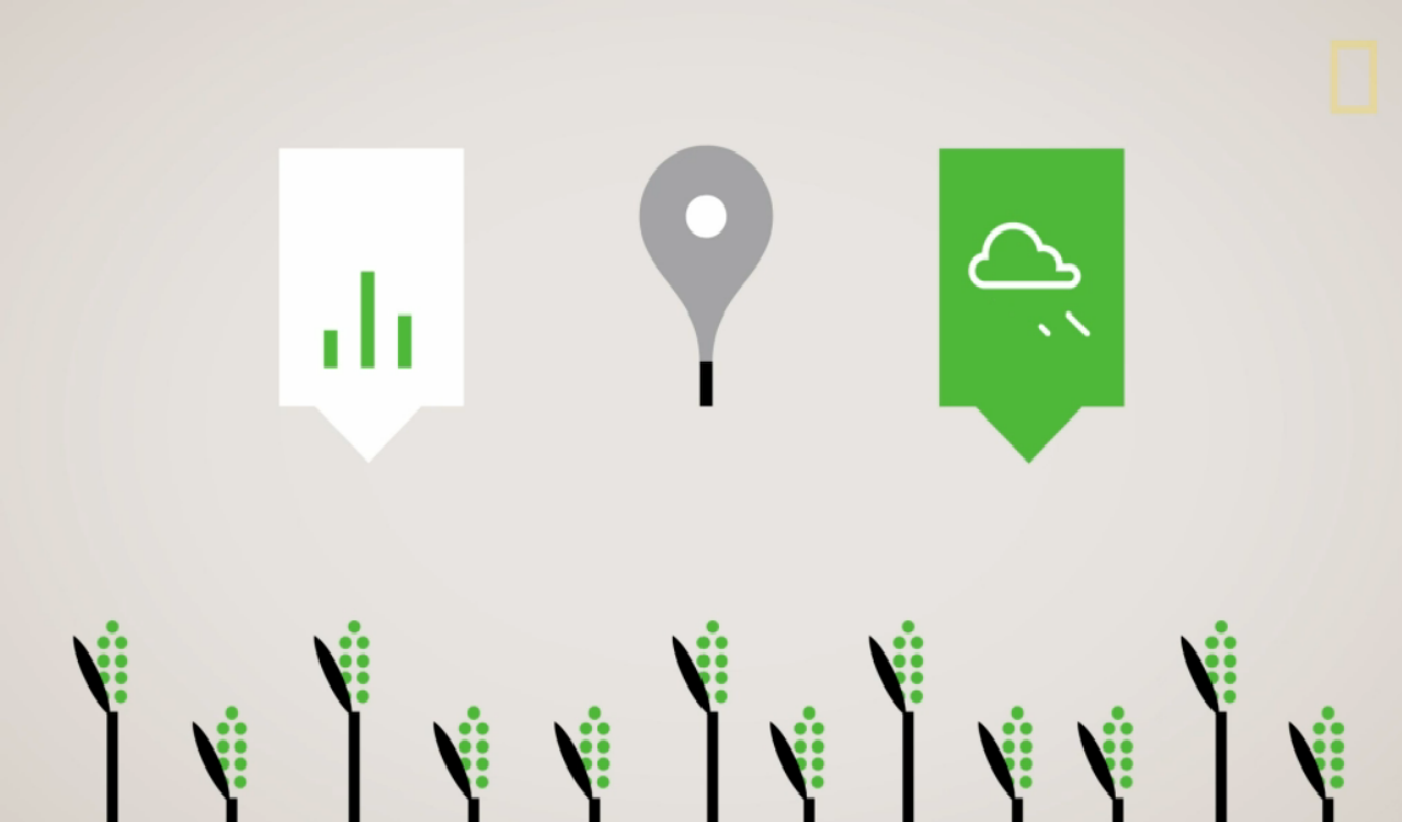National Geographic Shows Us The Future of Farming