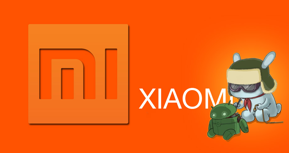  Xiaomi  Plans to Invest in More Than a 100 Start ups iGyaan
