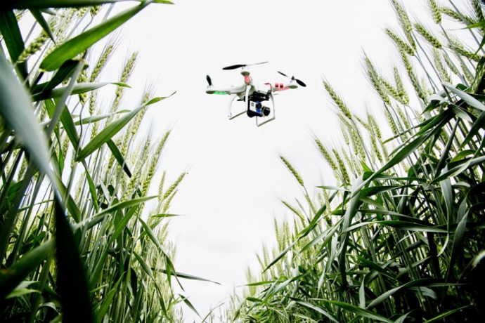 The drones are better suited for detailed analysis of the fields in comparison to satellites.
