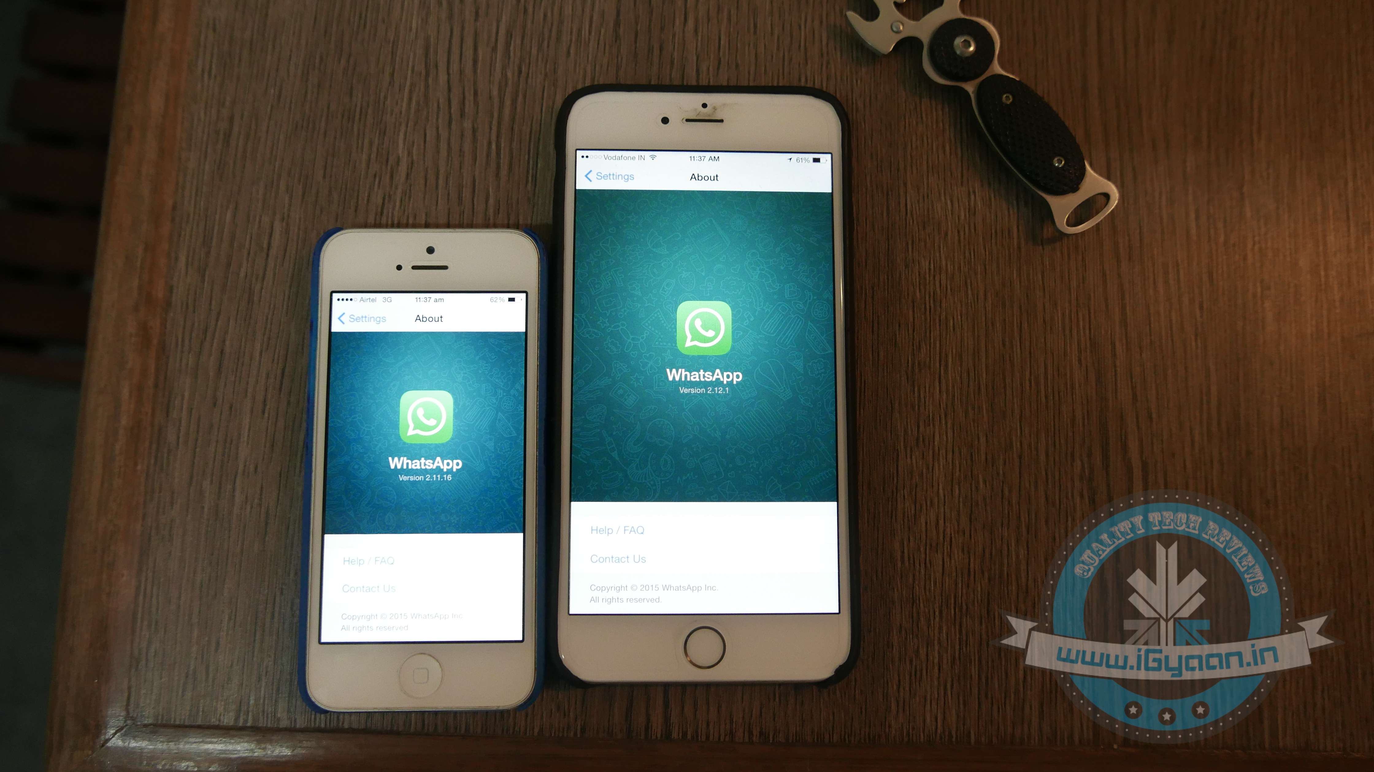 Here’s an Important WhatsApp Update for iOS That Everyone Missed Out On