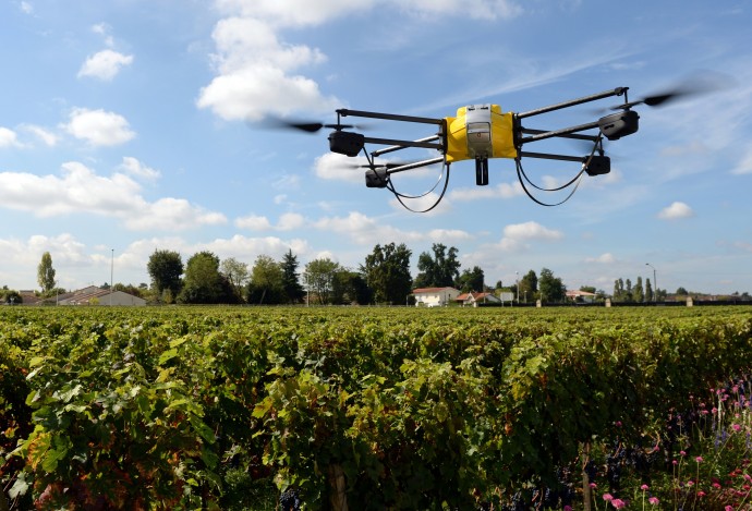 TO GO WITH AFP STORY BY LAURENT ABADIE A photo taken on September 9, 2014 shows a drone flying over vineyards of the Pape Clement castle, belonging to Bordeaux winemaker Bernard Magrez in the soutwestern French town of Pessac. Magrez is the first winemaker to have bought last February a drone equipped with a infrared camera to determine the optimal maturity of the domain's grapes and thus harvest them at different times.  AFP PHOTO JEAN PIERRE MULLER.        (Photo credit should read JEAN PIERRE MULLER/AFP/Getty Images)