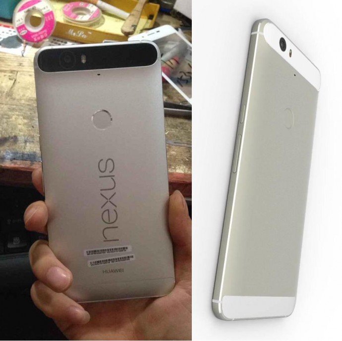 Nexus new 1