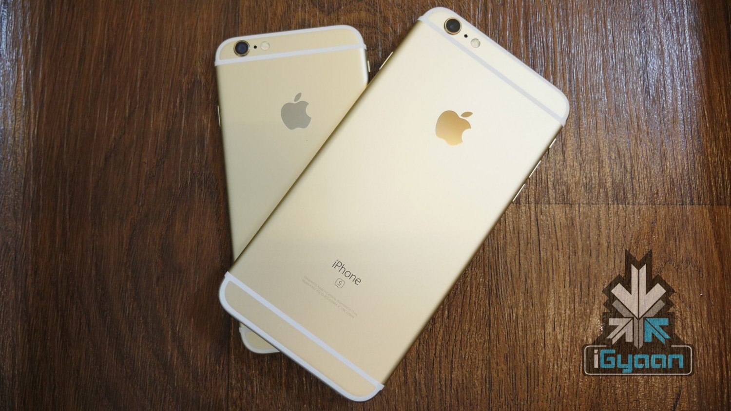 iPhone 6s and 6s plus igyaan 2