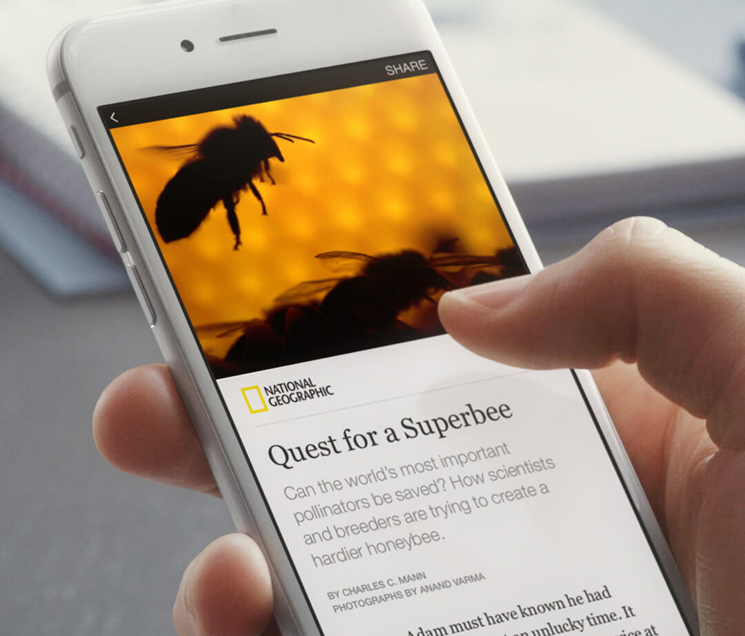 Google’s ‘Accelerated Mobile Page’ Will be Similar to Facebook’s Instant Articles