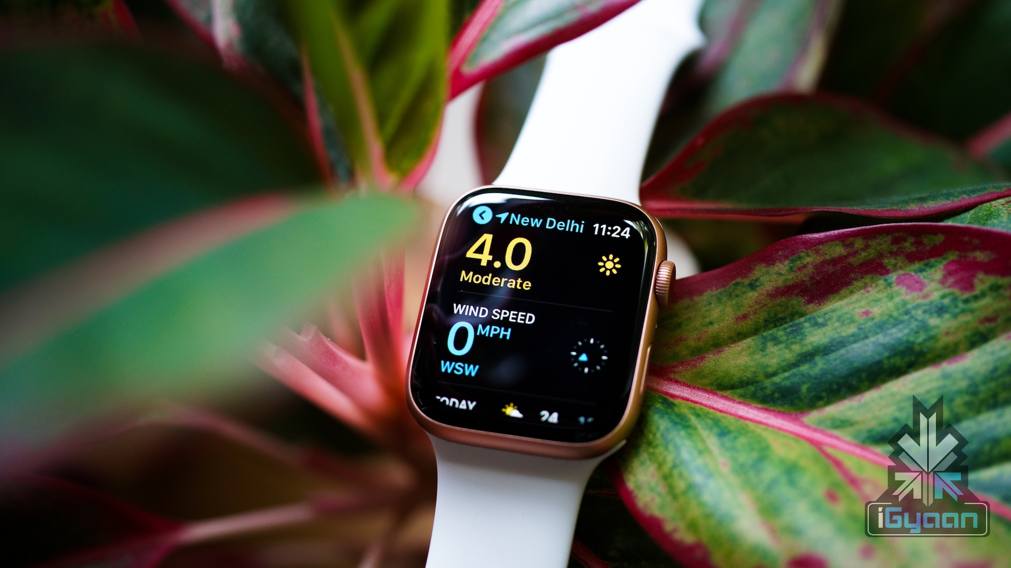 Apple Watch Leads The Smartwatch Market As It Grows By 48% In Q1 2019