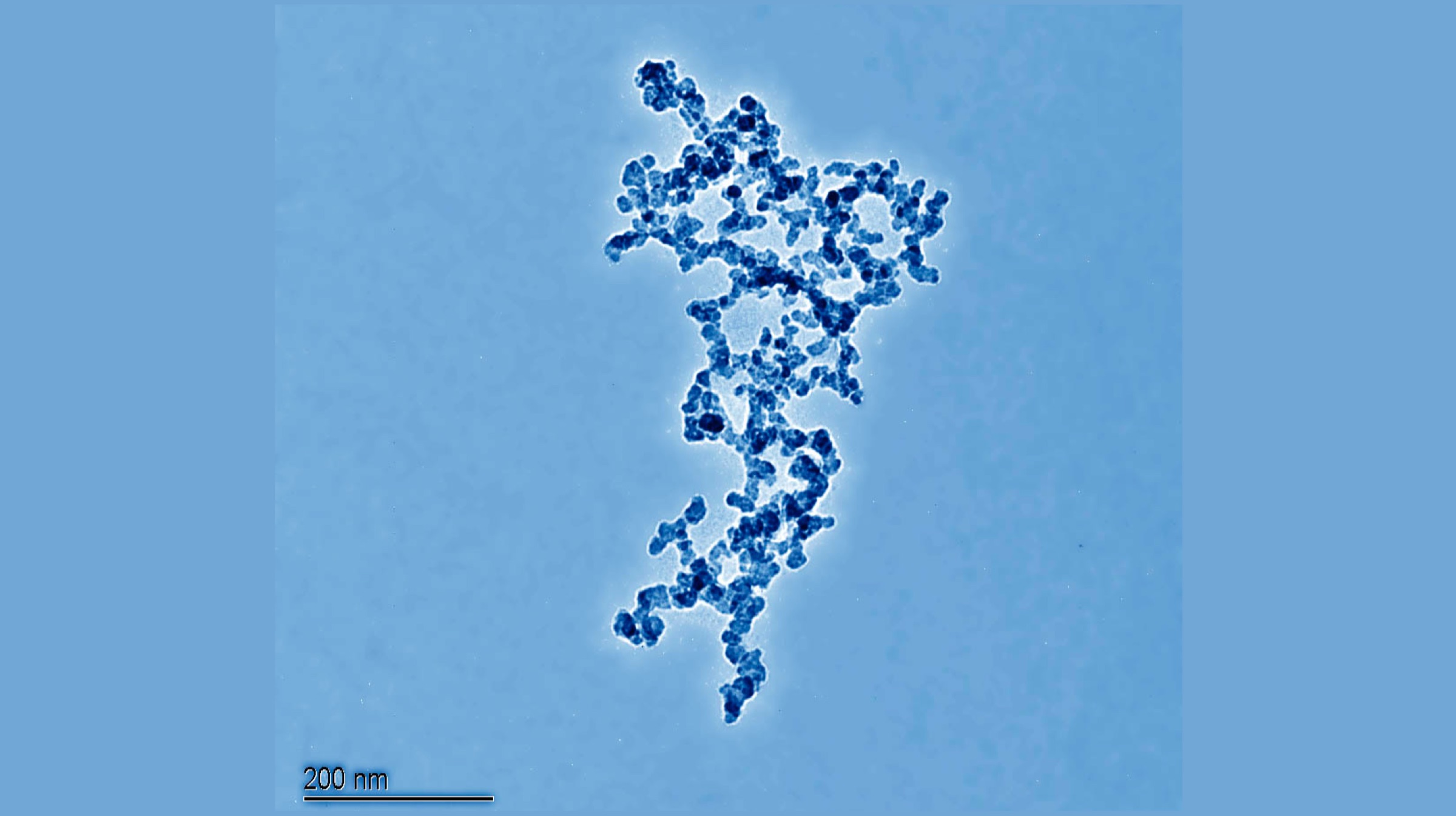 These Micro Robots Could Revolutionize Targeted Drug Delivery
