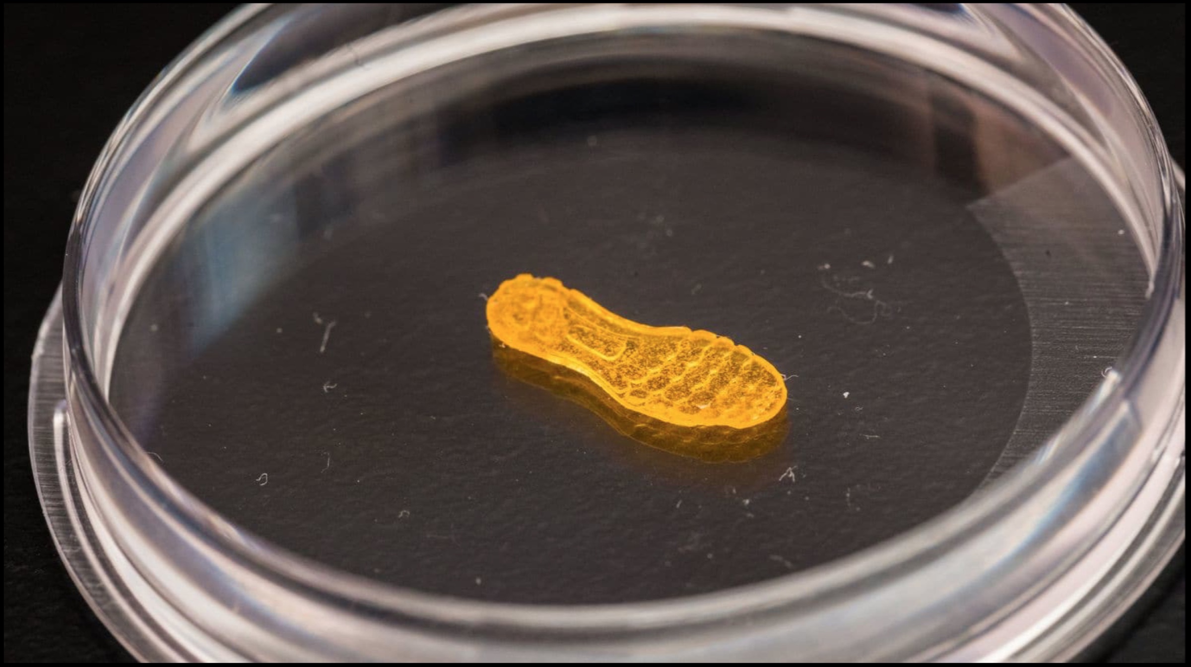 Self Healing Sneakers May Soon Become a Reality